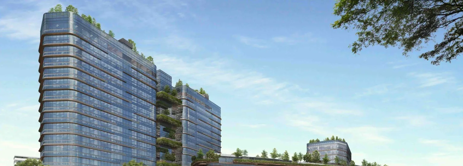 Woods Square — The Developer